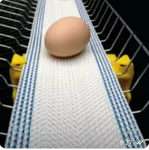 Лента для збора яиц Лента для збора яиц