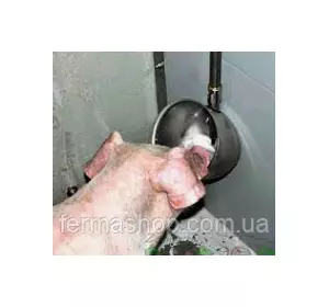 Система чашечного поения для свиней и поросят от 25 кг из нержавейки Система чашечного поения для свиней и поросят от 25 кг из нержавейки