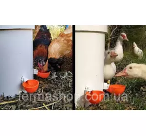 Поилка для птиц с винтом, чашечная поилка (куры, утки, гуси, индюки, перепела, фазаны и т.д.) Поилка для птиц с винтом, чашечная поилка (куры, утки, гуси, индюки, перепела, фазаны и т.д.)