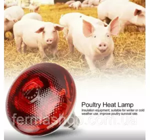 Инфракрасная лампа красная 250 Вт Smart Heat для птиц (цыплят, курчат, кур, перепелов, бройлеров) и животных Инфракрасная лампа красная 250 Вт Smart Heat для птиц (цыплят, курчат, кур, перепелов, бройлеров) и животных