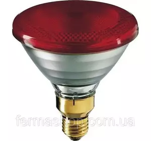 Лампа инфракрасная Smart Heat, PAR38, красная 100W Лампа инфракрасная Smart Heat, PAR38, красная 100W