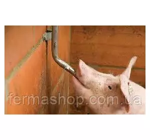 Система ниппельного поения для свиней и поросят до 30 кг из нержавейки - опора регулируется по высоте Система ниппельного поения для свиней и поросят до 30 кг из нержавейки - опора регулируется по высоте