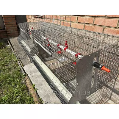 Клетка для кур-бройлеров на 12-14 взросл. голов с системой ниппельного поения, от 3-х шт. - доставка БЕСПЛАТНО